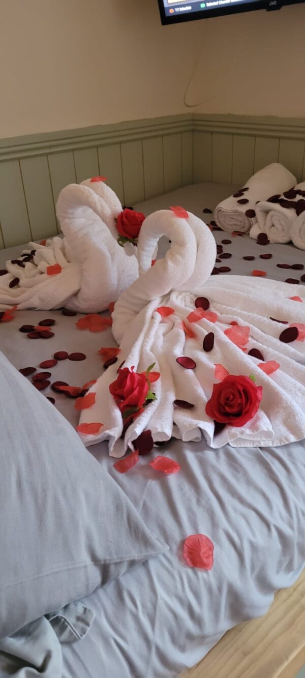 Room No 5 Shepter   - Image 6